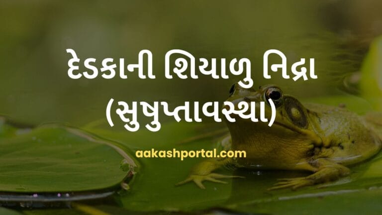 દેડકાની શિયાળુ નિદ્રા (સુષુપ્તાવસ્થા): એક અદ્ભુત કુદરતી ઘટના