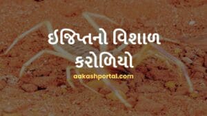ઇજિપ્તનો વિશાળ કરોળિયો: ઉંટ કરોળિયા વિશે સંપૂર્ણ માહિતી