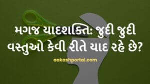 મગજ યાદશક્તિ: જુદી જુદી વસ્તુઓ કેવી રીતે યાદ રહે છે?