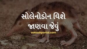 સોલેનોડોન વિશે જાણવા જેવું