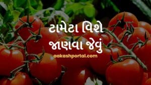 ટામેટા વિશે જાણવા જેવું
