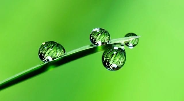 water